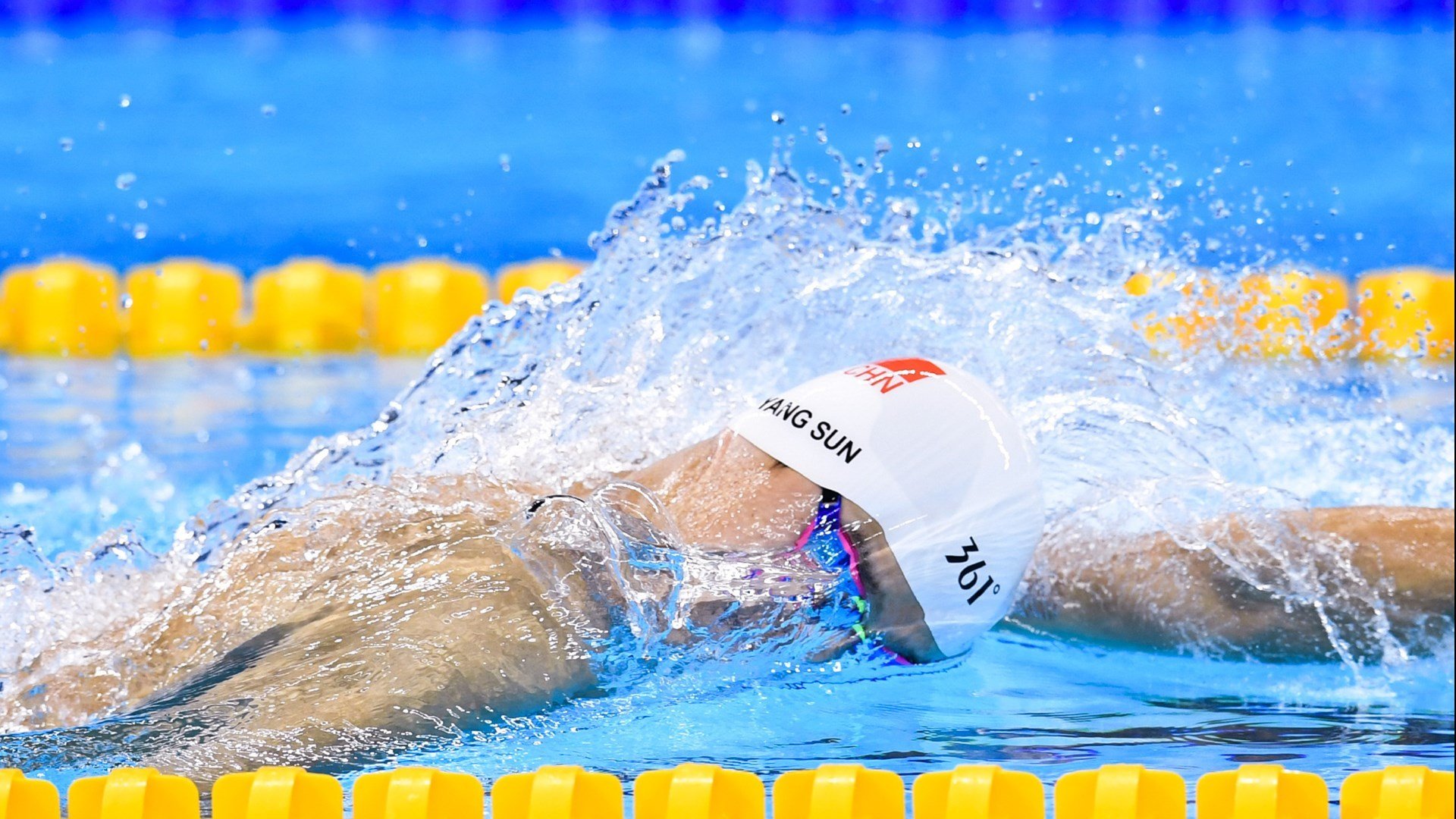 开云官方网站-太阳光芒万丈，齐心协力擒狮子